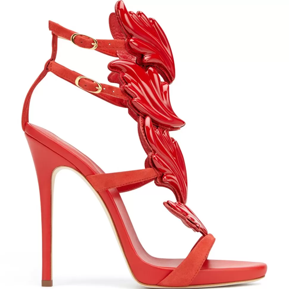 Donna Giuseppe Zanotti Cruel