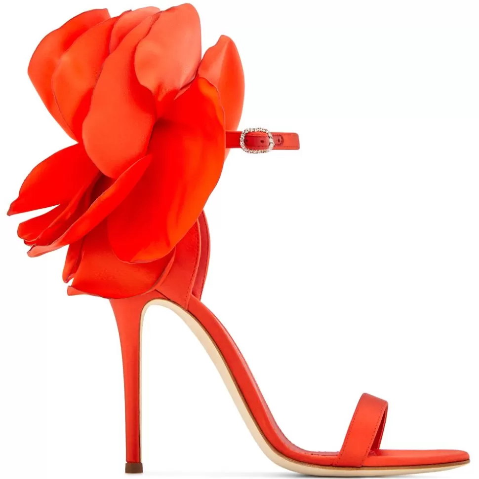 Donna Giuseppe Zanotti Peony