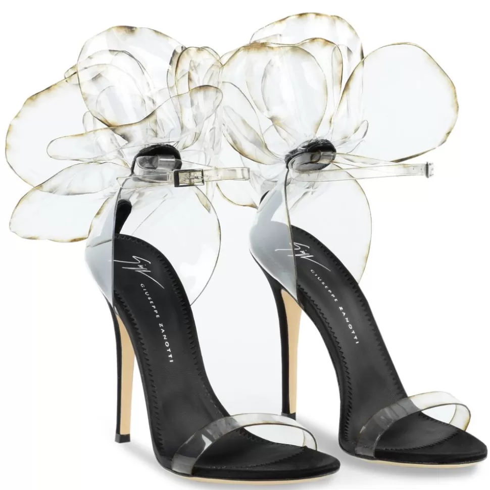 Donna Giuseppe Zanotti Peony